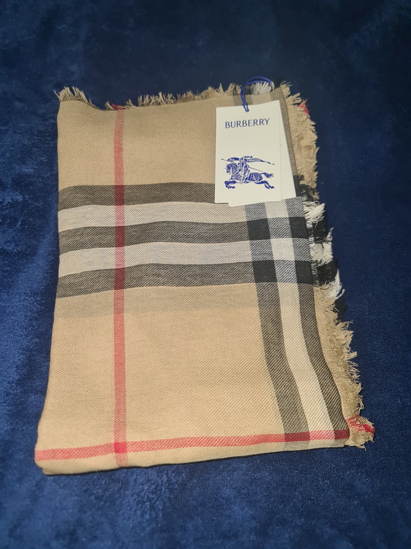 Burberry Scarf